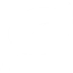 Coming soon - Carbon neutrality and ESG ratings